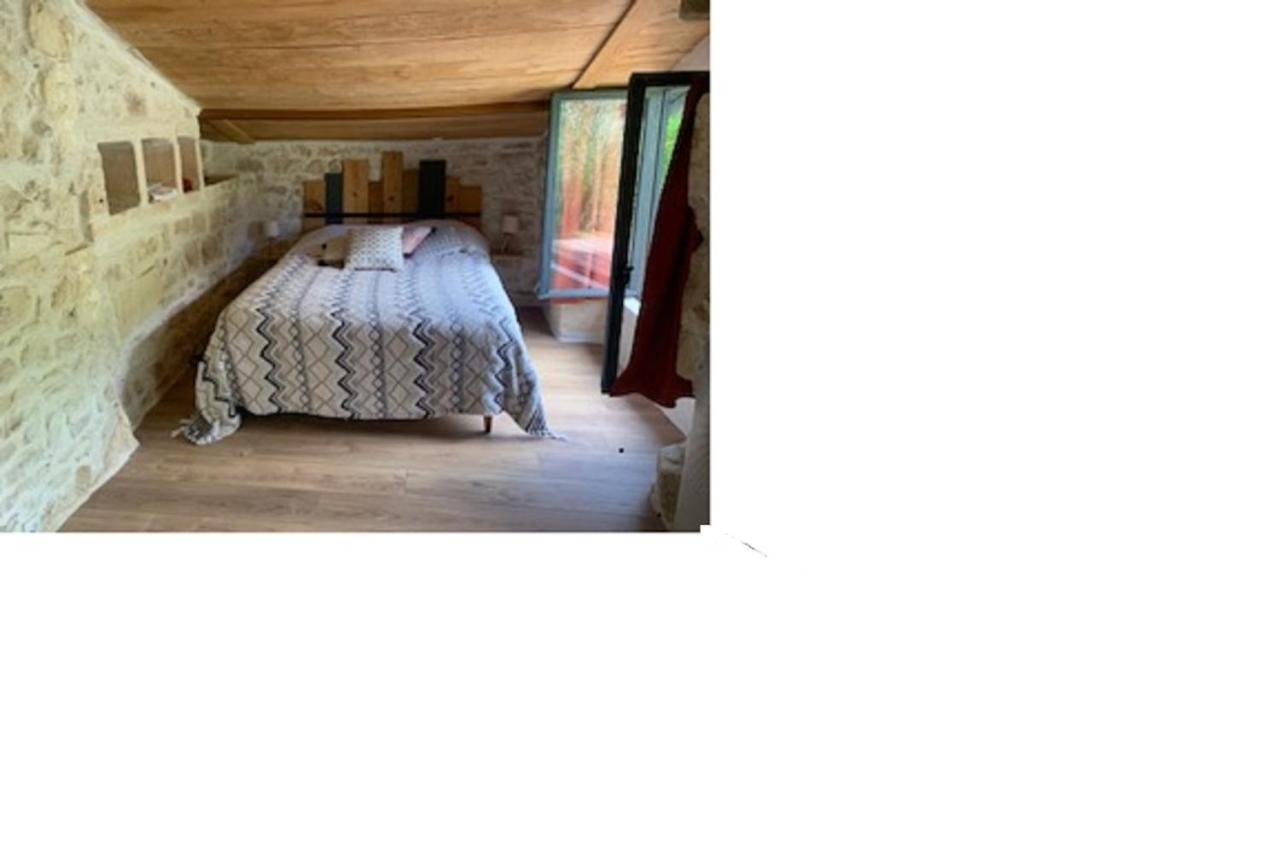 Le Petit Lodge Cosy Saint-Savinien Luaran gambar